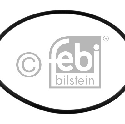 O-RING